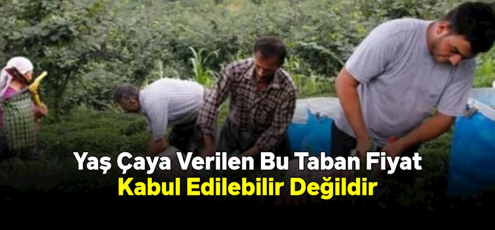 Yaş Çaya Verilen Bu Taban Fiyat, Kabul Edilebilir Değildir