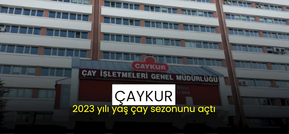 ÇAYKUR, 2023 yılı yaş çay sezonunu açtı