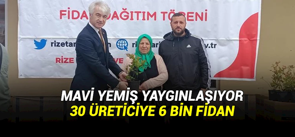 Maviyemiş yaygınlaşıyor: 30 üreticiye  6 bin fidan