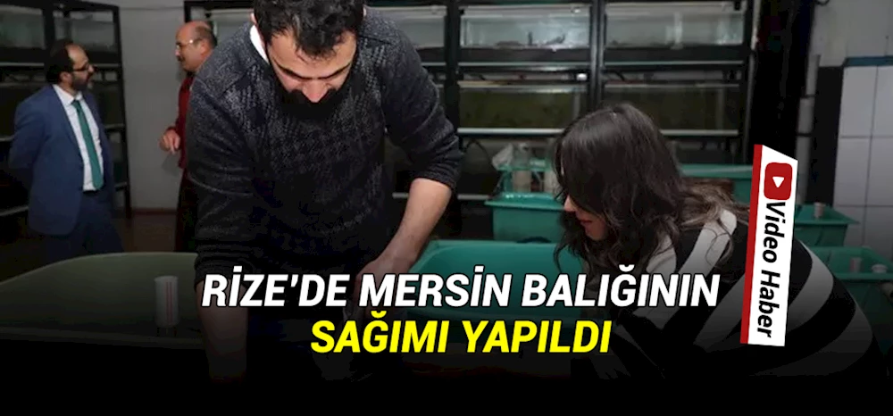 Rize
