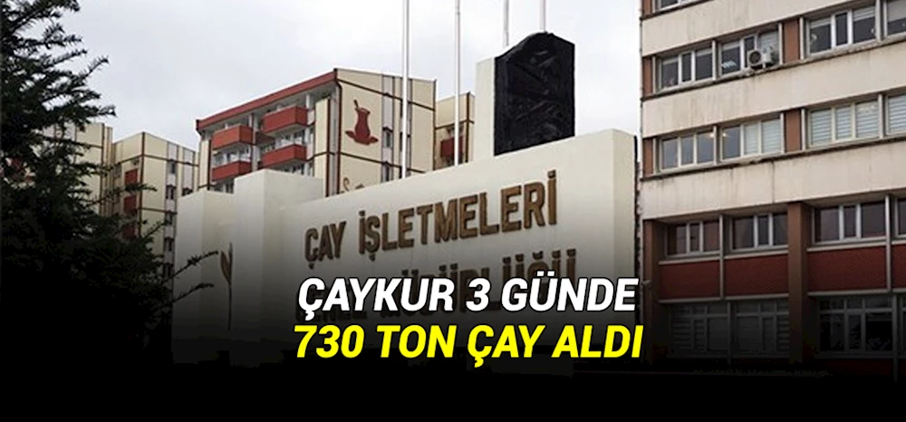 ÇAYKUR 3 günde 730 ton çay aldı