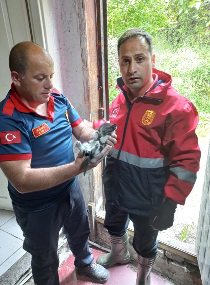 Zonguldak