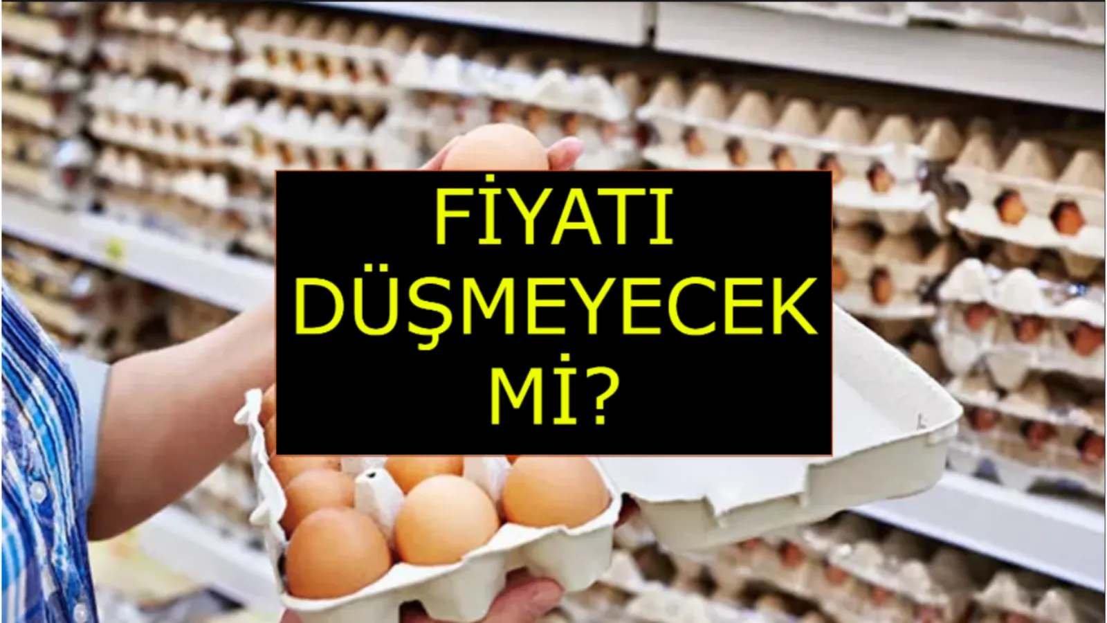 Yumurta Fiyatlarında Zam Kendini Gösterdi!