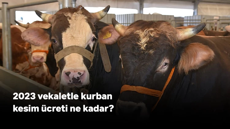 2023 vekaletle kurban kesim ücreti ne kadar?