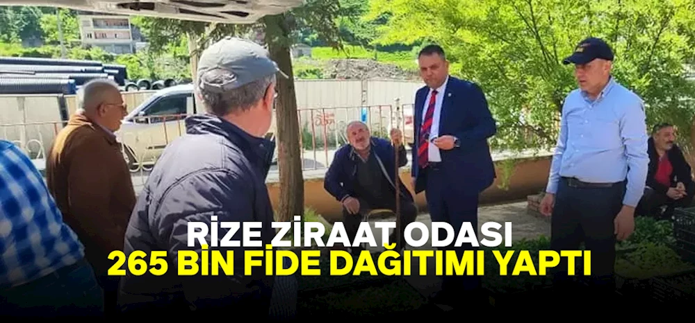 Rize Ziraat Odası 265 bin fide dağıttı