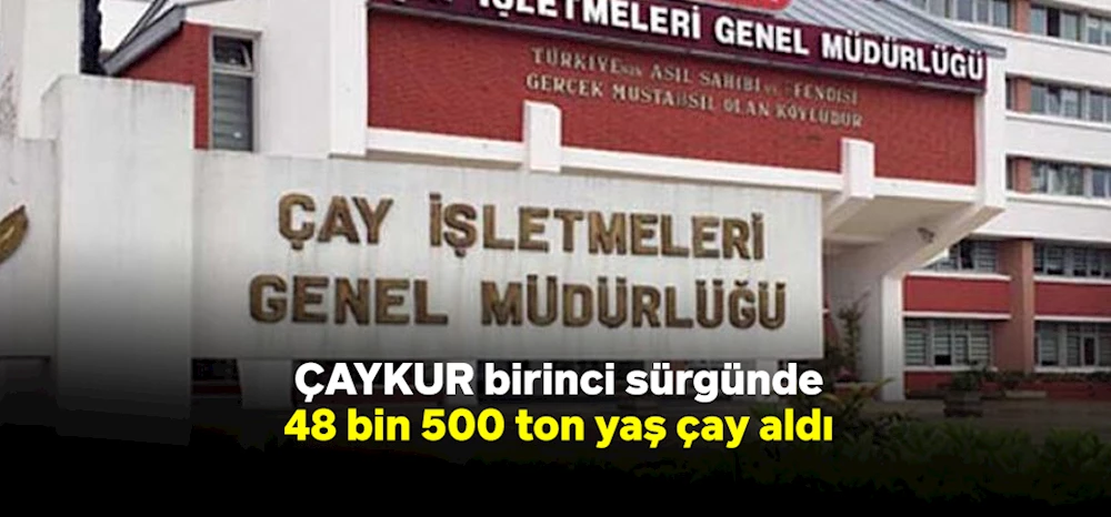 ÇAYKUR birinci sürgünde 48 bin 500 ton yaş çay aldı