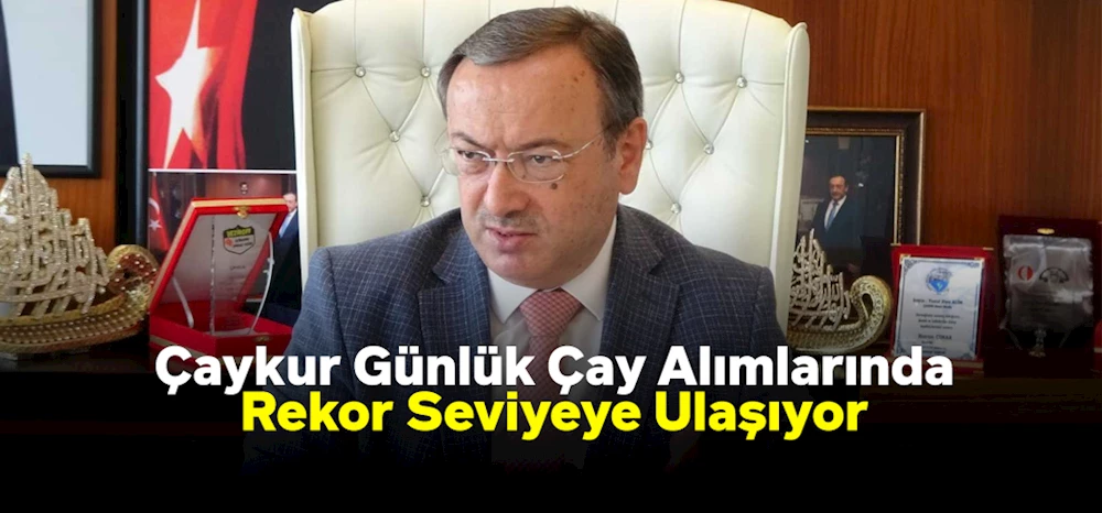 Çaykur Günlük Çay Alımlarında Rekor Seviyeye Ulaşıyor