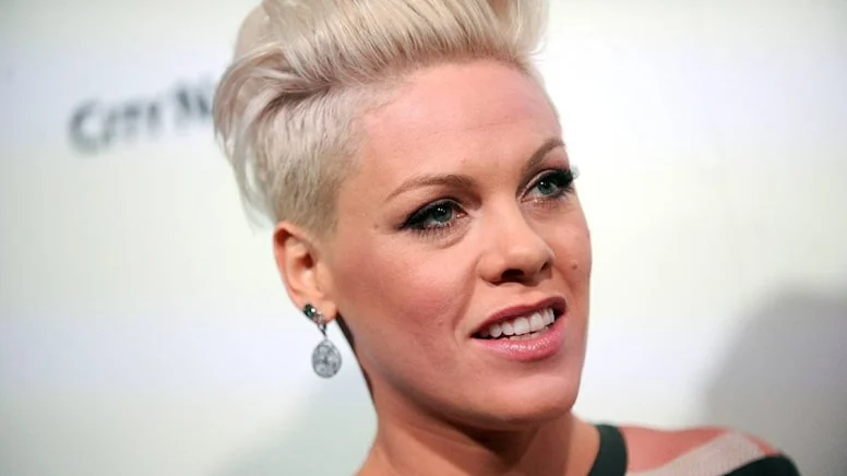 Pink, kocası Carey Hart ile yaptığı gezide çekildiği çıplak bir fotoğrafını Instagram