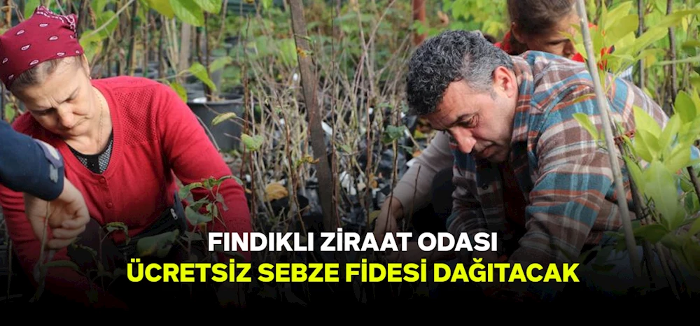 Fındıklı Ziraat Odası ve Belediyesi, 100 Bin Sebze Fidesi Dağıtarak Geleneksel Üretimi Destekliyor
