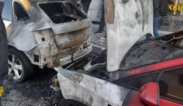 Park halindeki 2 otomobil küle döndü