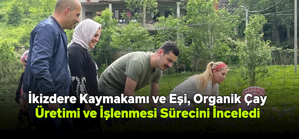 İkizdere Kaymakamı ve Eşi, Organik Çay Üretimi ve İşlenmesi Sürecini İnceledi