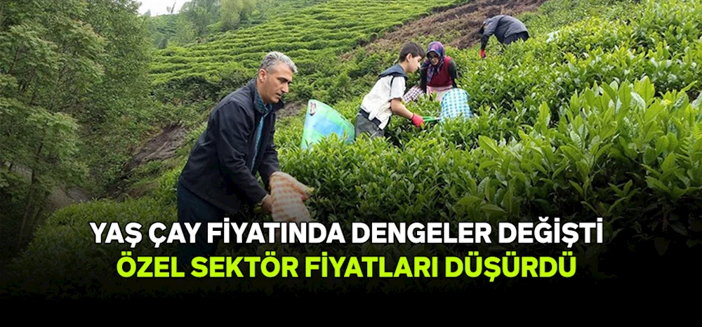 Çay Fiyatında dengeler değişti! Özel Sektör Fiyatları Düşürdü!