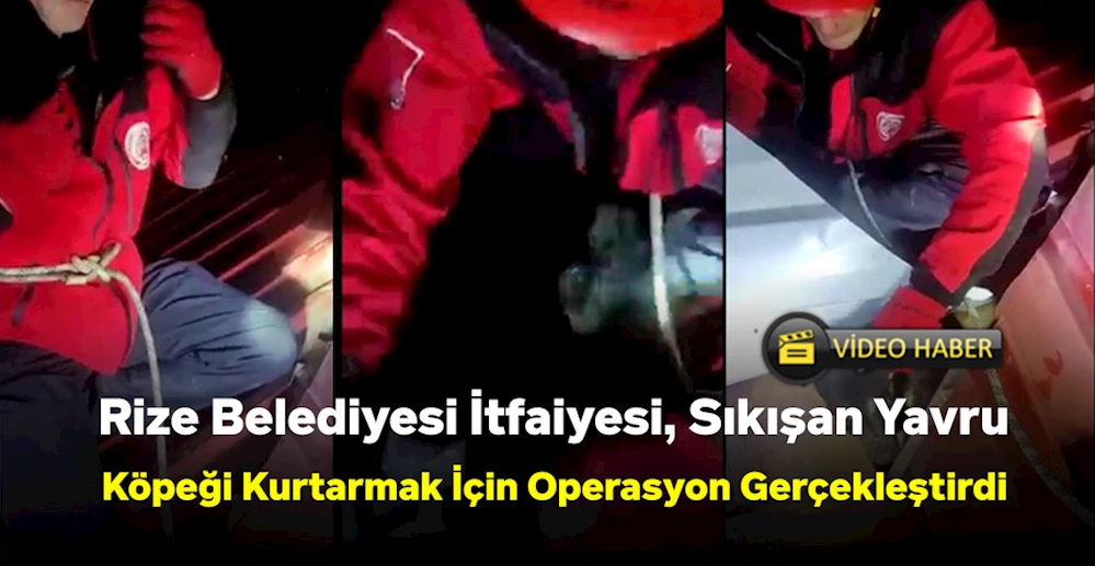 Rize Belediyesi İtfaiyesi, Sıkışan Yavru Köpeği Kurtarmak İçin Operasyon Gerçekleştirdi