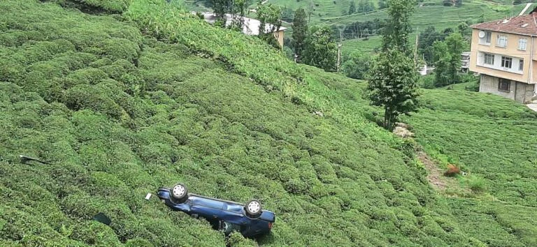 Rize