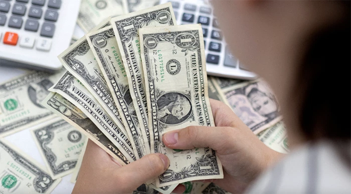 Dolar yatay seyire geçti!