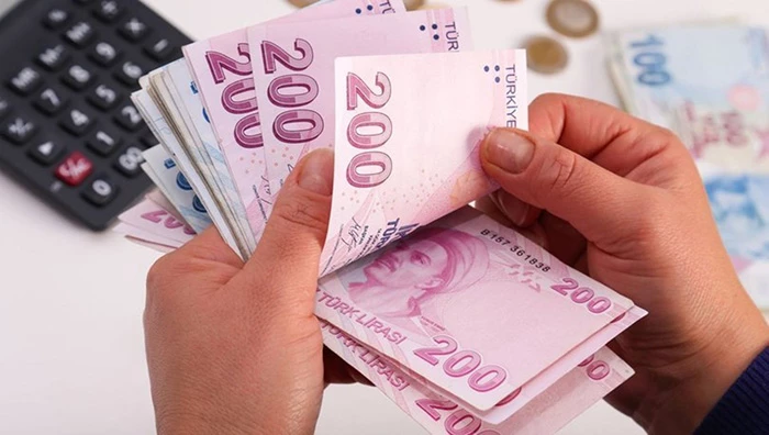 Aile Destek Programı ödemeleri ne zaman yatacak?