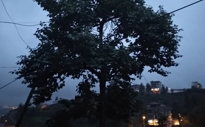İnsan Hayatı Bu Kadar Ucuz mu?