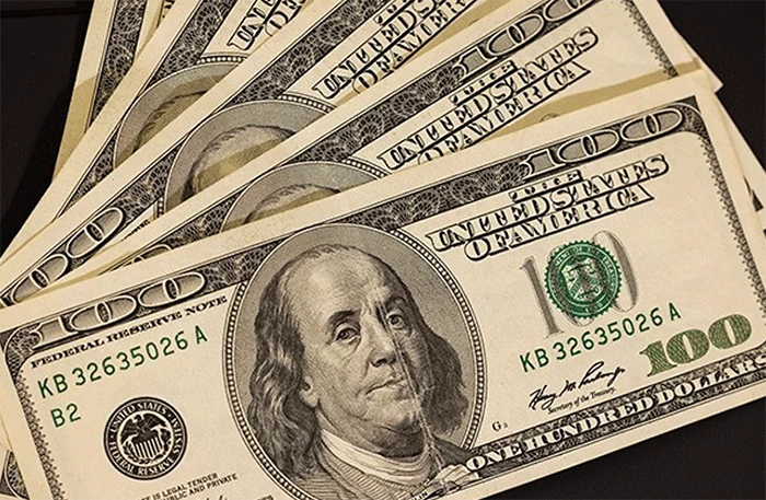 Dolar İlk Kez 25 lirayı Geçti: Tarihi Rekor Sonrası Yeni Rekor Geliyor!