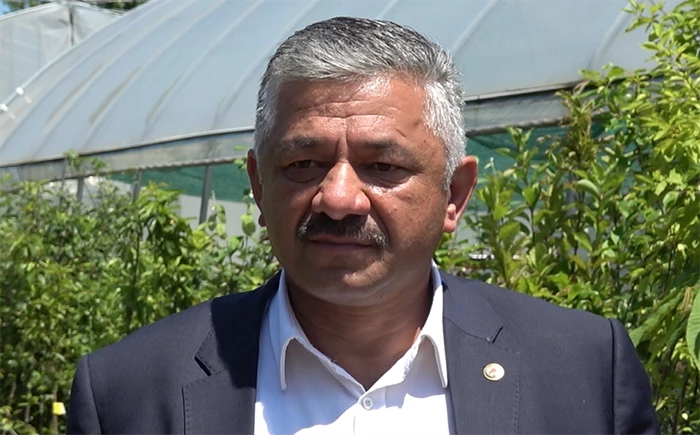Fındık üreticilerine kahverengi kokarcayla mücadele uyarısı
