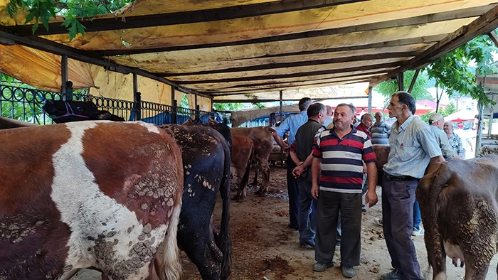 Salıpazarı